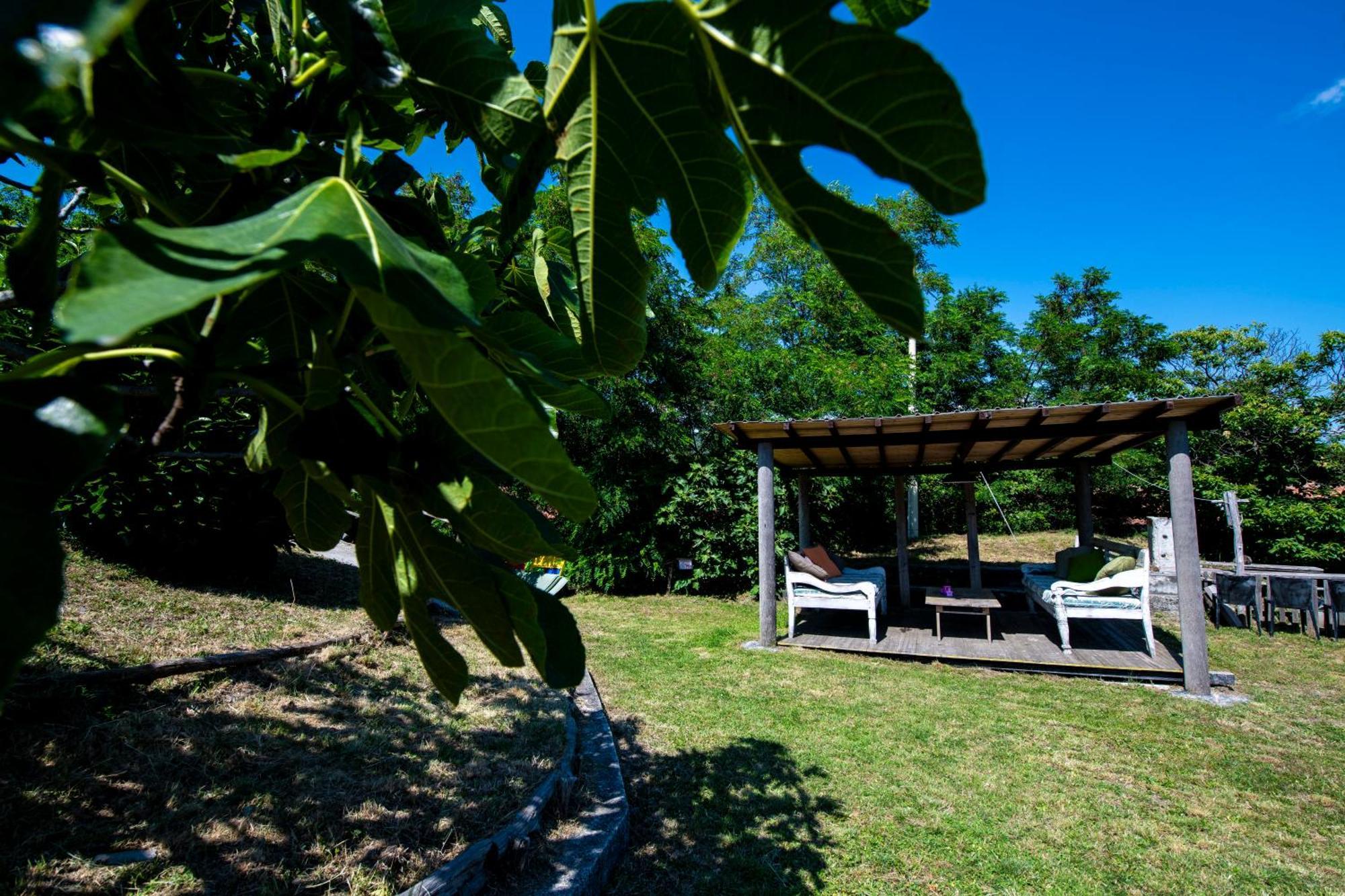 211 - Appartamento Acacia, Terrazza Giardino E Piscina Carro エクステリア 写真