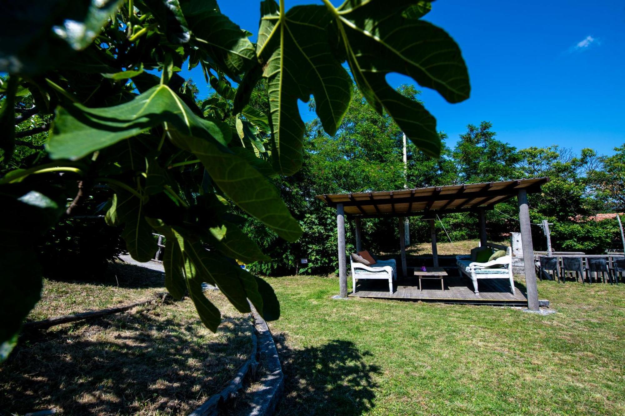 211 - Appartamento Acacia, Terrazza Giardino E Piscina Carro エクステリア 写真